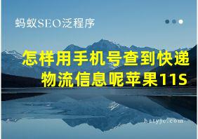 怎样用手机号查到快递物流信息呢苹果11S