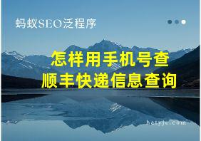 怎样用手机号查顺丰快递信息查询