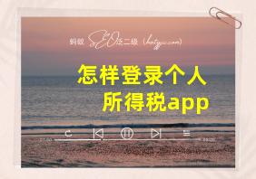 怎样登录个人所得税app