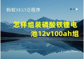 怎样组装磷酸铁锂电池12v100ah组