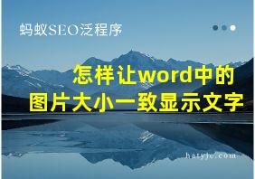 怎样让word中的图片大小一致显示文字