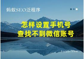 怎样设置手机号查找不到微信账号