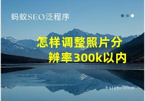 怎样调整照片分辨率300k以内