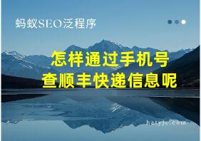 怎样通过手机号查顺丰快递信息呢