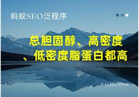 总胆固醇、高密度、低密度脂蛋白都高