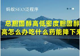 总胆固醇高低密度胆固醇高怎么办吃什么药能降下来