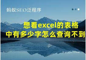 想看excel的表格中有多少字怎么查询不到