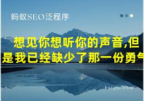 想见你想听你的声音,但是我已经缺少了那一份勇气