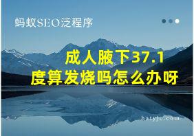 成人腋下37.1度算发烧吗怎么办呀