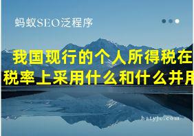 我国现行的个人所得税在税率上采用什么和什么并用