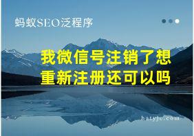 我微信号注销了想重新注册还可以吗