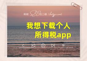 我想下载个人所得税app