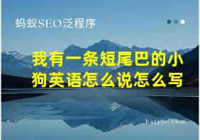 我有一条短尾巴的小狗英语怎么说怎么写