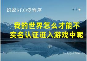 我的世界怎么才能不实名认证进入游戏中呢