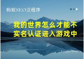 我的世界怎么才能不实名认证进入游戏中