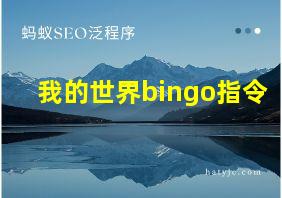 我的世界bingo指令