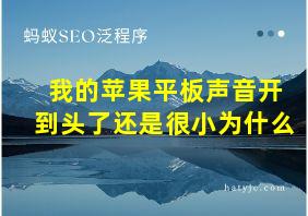 我的苹果平板声音开到头了还是很小为什么