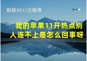 我的苹果11开热点别人连不上是怎么回事呀