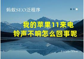 我的苹果11来电铃声不响怎么回事呢