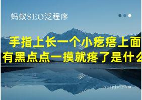 手指上长一个小疙瘩上面有黑点点一摸就疼了是什么