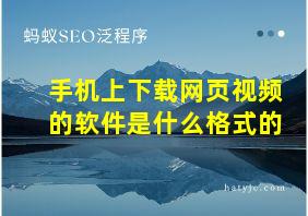 手机上下载网页视频的软件是什么格式的