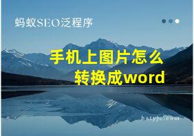 手机上图片怎么转换成word