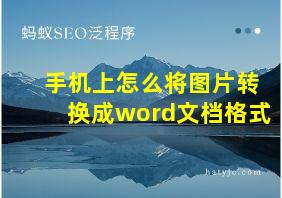 手机上怎么将图片转换成word文档格式