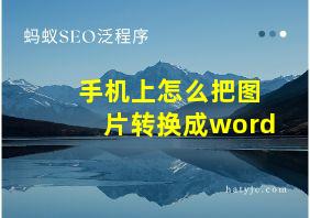 手机上怎么把图片转换成word