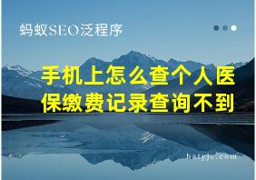 手机上怎么查个人医保缴费记录查询不到