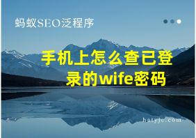 手机上怎么查已登录的wife密码