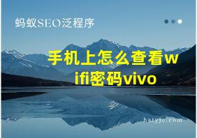 手机上怎么查看wifi密码vivo