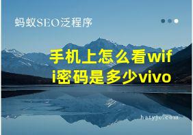 手机上怎么看wifi密码是多少vivo