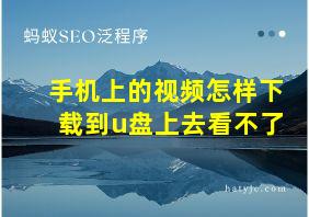 手机上的视频怎样下载到u盘上去看不了