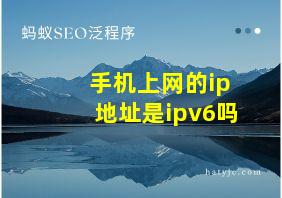 手机上网的ip地址是ipv6吗