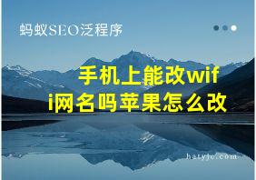 手机上能改wifi网名吗苹果怎么改