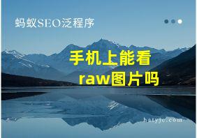 手机上能看raw图片吗