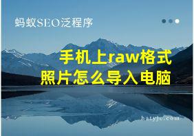 手机上raw格式照片怎么导入电脑