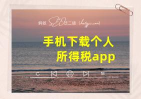 手机下载个人所得税app