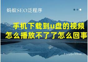 手机下载到u盘的视频怎么播放不了了怎么回事