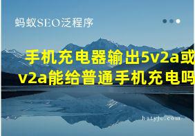 手机充电器输出5v2a或9v2a能给普通手机充电吗?