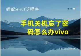 手机关机忘了密码怎么办vivo