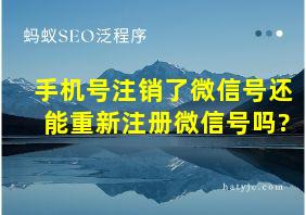 手机号注销了微信号还能重新注册微信号吗?