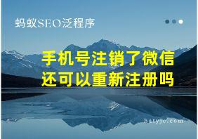 手机号注销了微信还可以重新注册吗