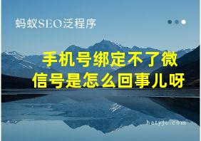 手机号绑定不了微信号是怎么回事儿呀