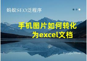 手机图片如何转化为excel文档