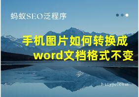 手机图片如何转换成word文档格式不变