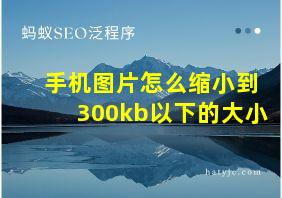 手机图片怎么缩小到300kb以下的大小