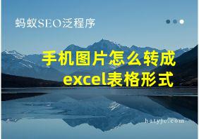 手机图片怎么转成excel表格形式