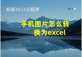 手机图片怎么转换为excel