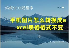 手机图片怎么转换成excel表格格式不变